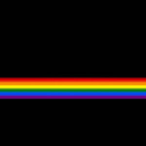 Meet your Posher, Foxy